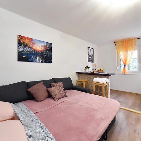Studio Apartment Aneta Zagreb Extérieur photo